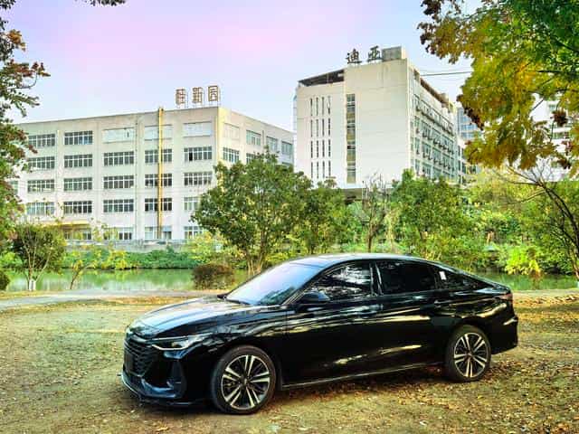 undefined undefined 2025-photo-1