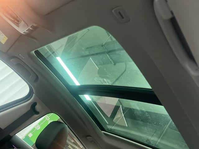 undefined undefined 2019-photo-14
