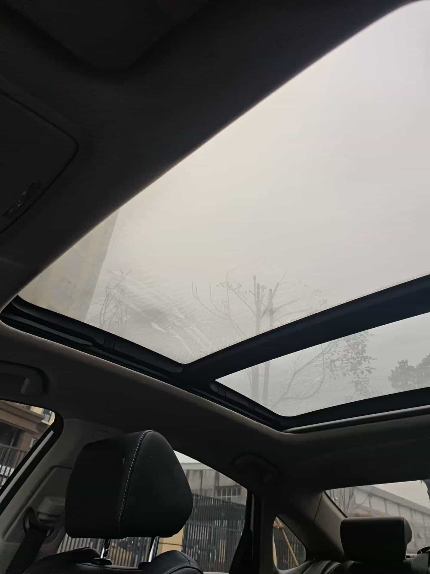 undefined undefined 2019-photo-7