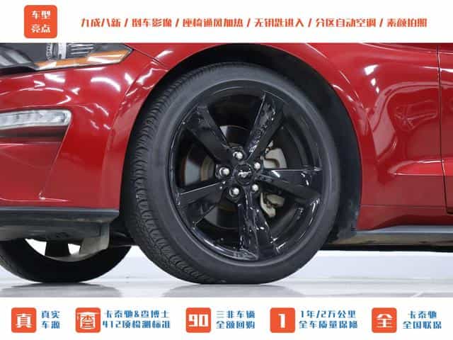 undefined undefined 2021-photo-22