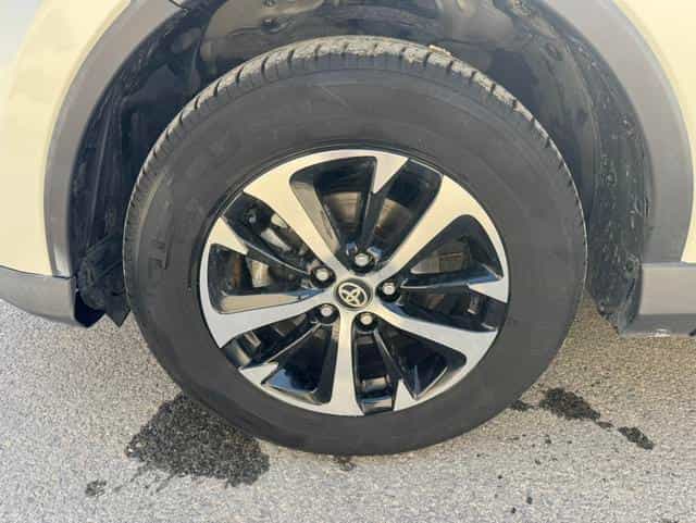 undefined undefined 2019-photo-28
