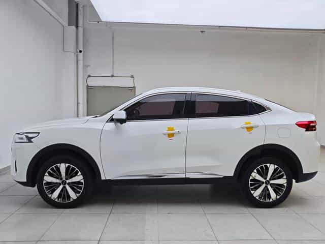 undefined undefined 2021-photo-4