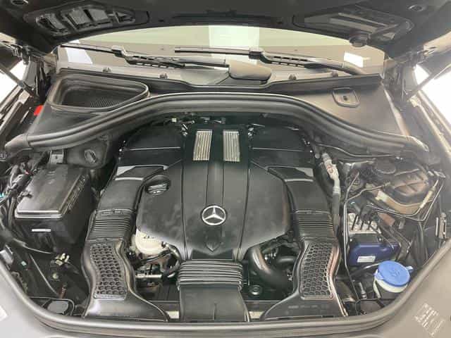 undefined undefined 2015-photo-28