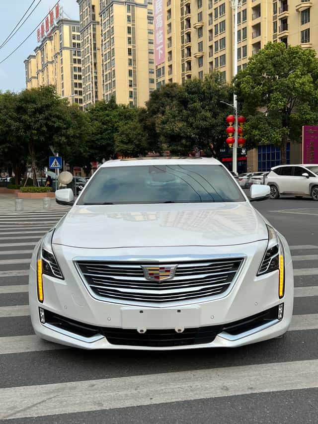 undefined undefined 2017-photo-3