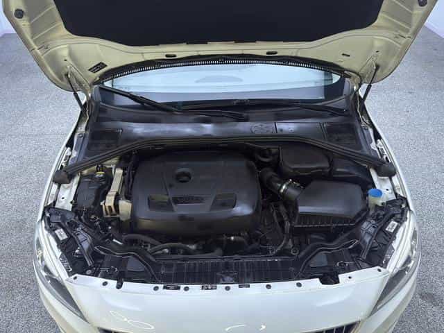 undefined undefined 2019-photo-17