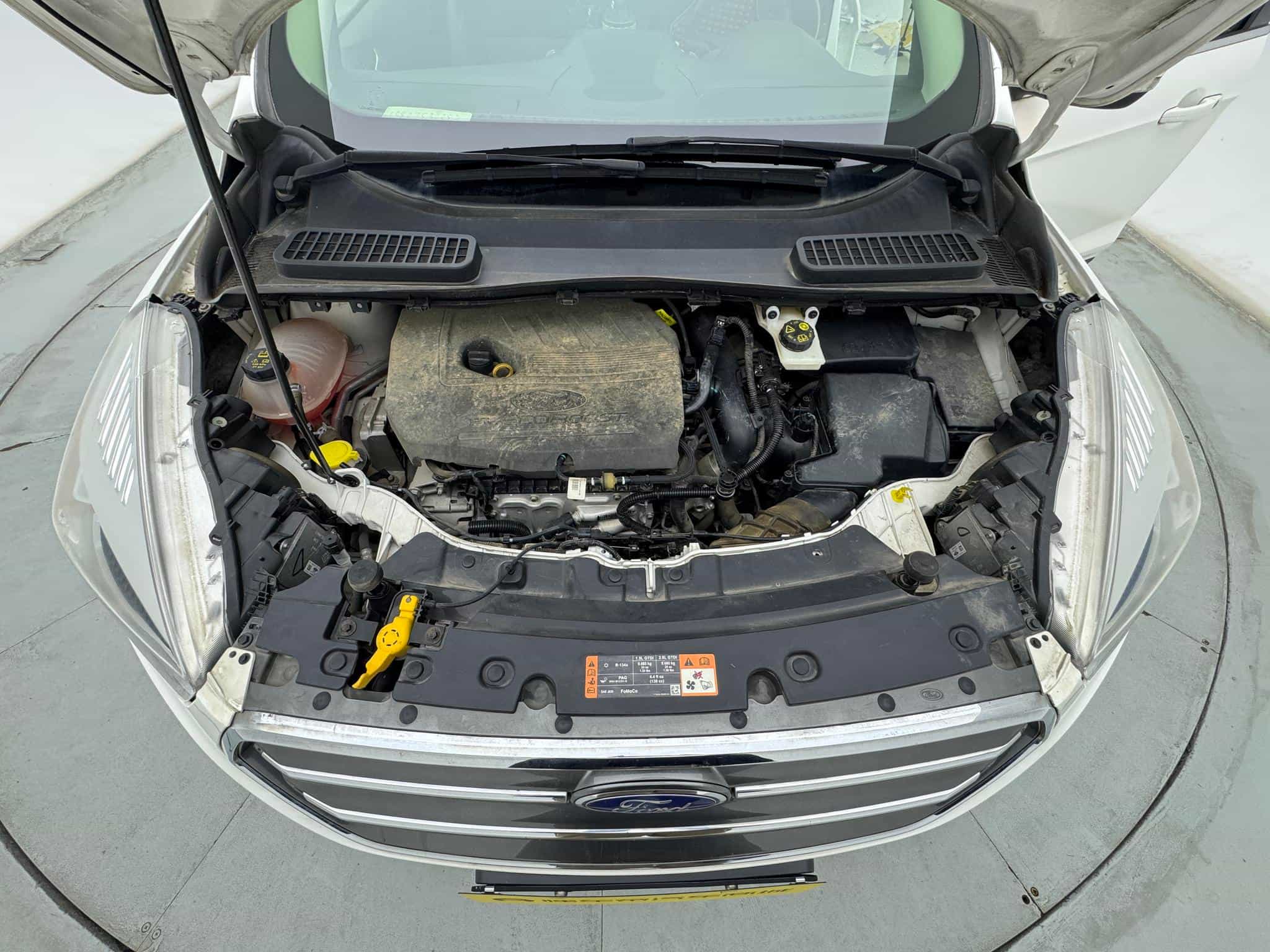 undefined undefined 2019-photo-25