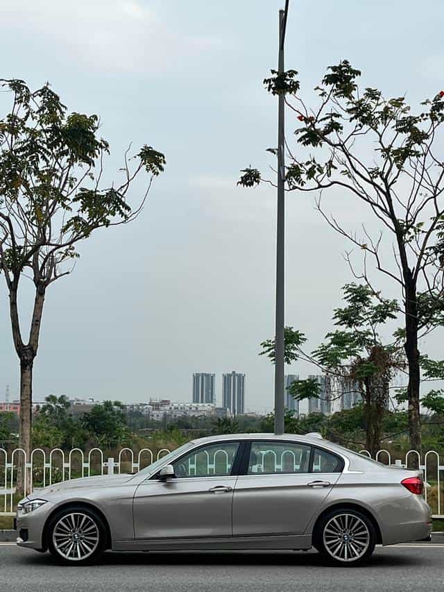 undefined undefined 2019-photo-13
