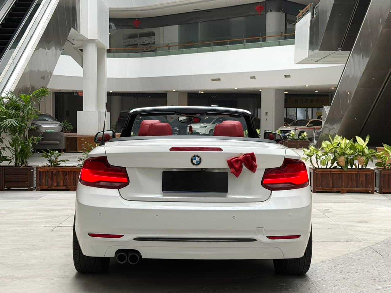 undefined undefined 2018-photo-8