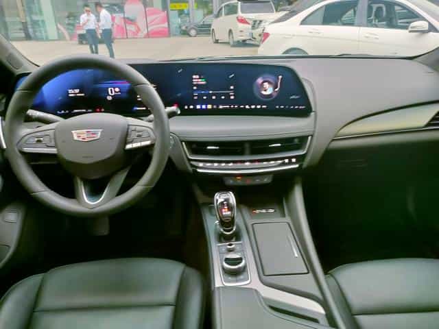 undefined undefined 2024-photo-31