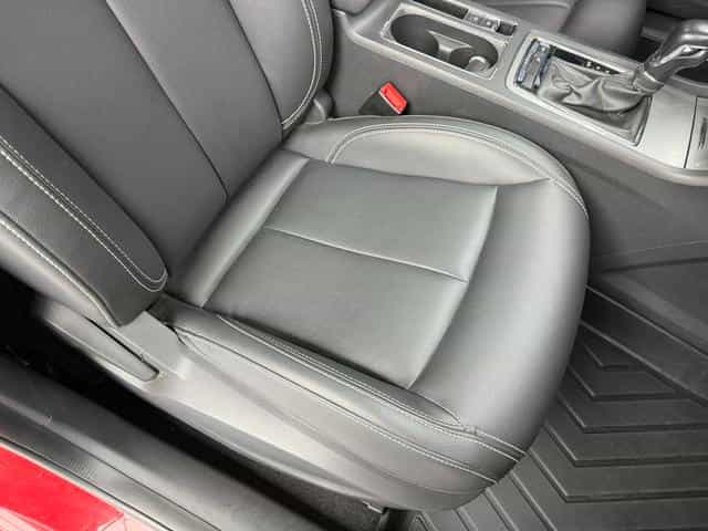 undefined undefined 2019-photo-37