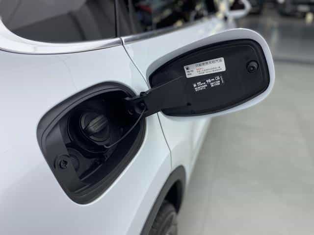 undefined undefined 2019-photo-30