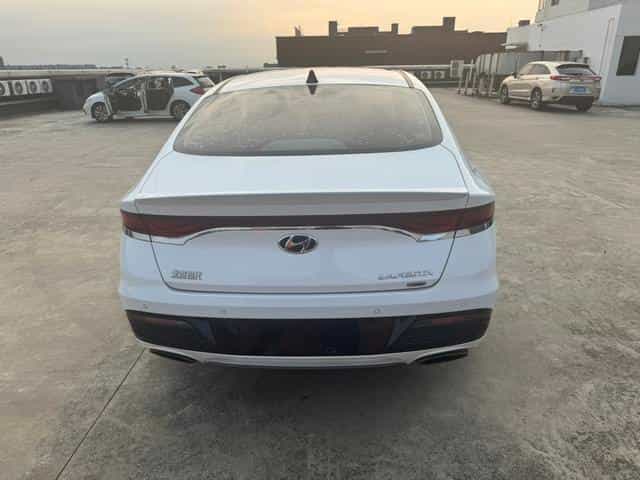 undefined undefined 2019-photo-11