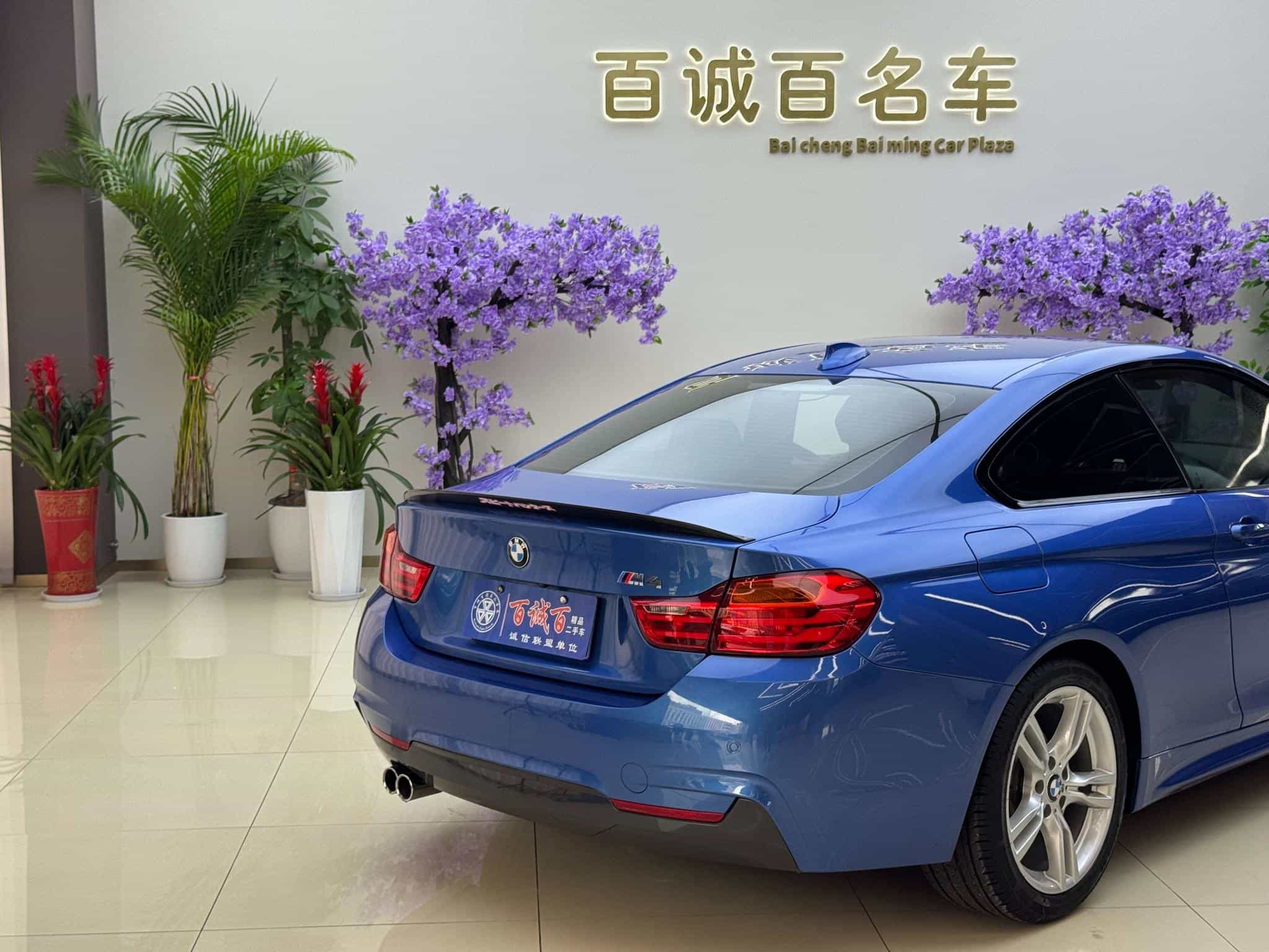 undefined undefined 2016-photo-6
