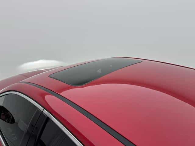 undefined undefined 2020-photo-20