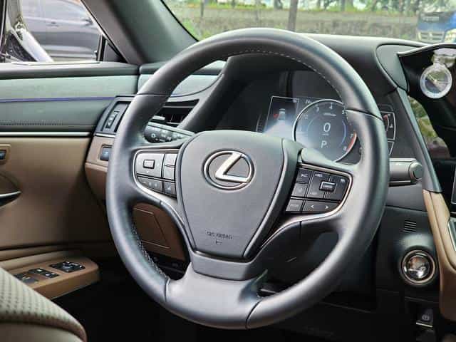 undefined undefined 2025-photo-15