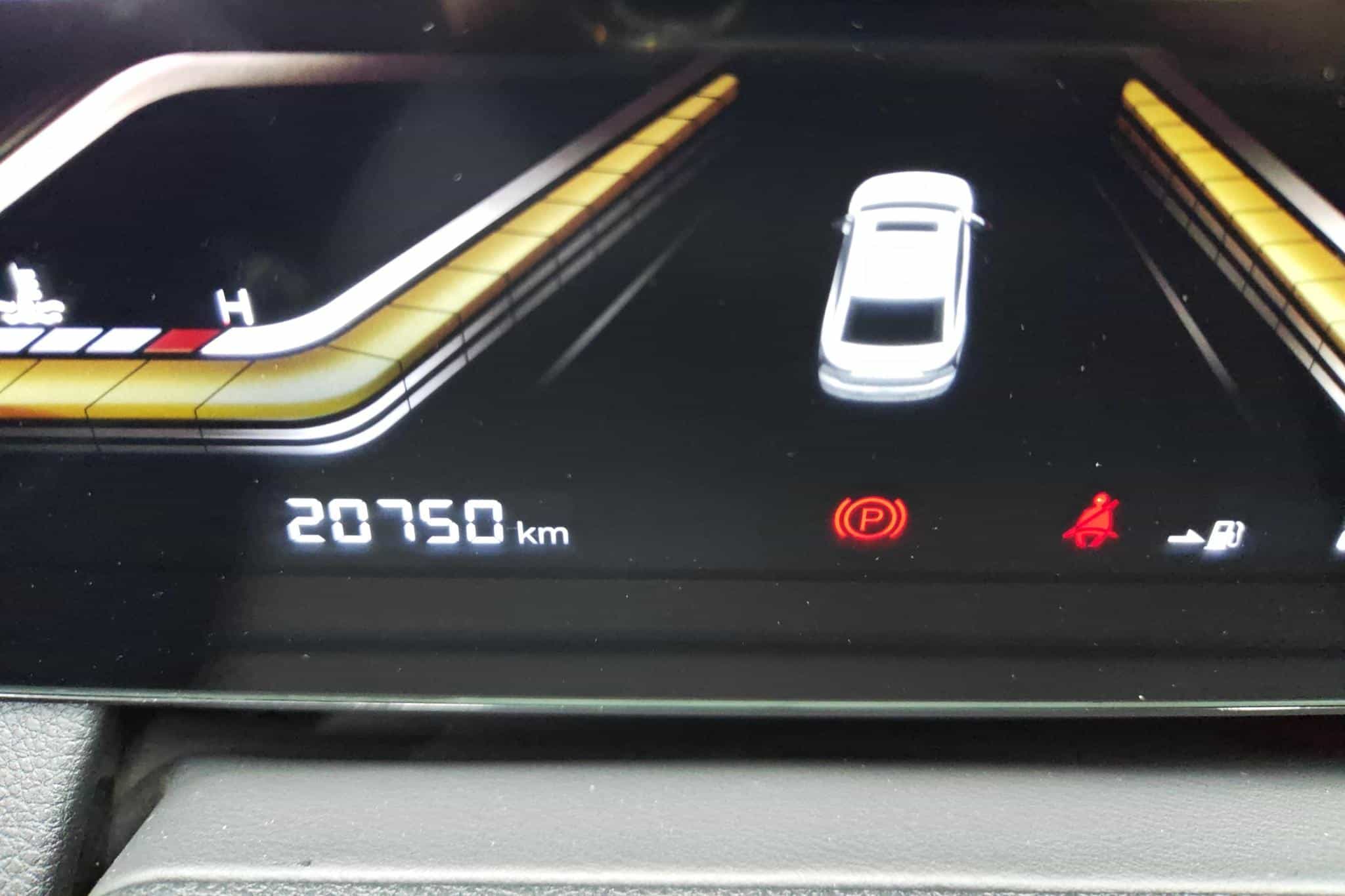undefined undefined 2022-photo-17