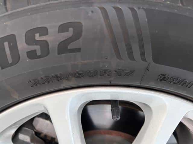 undefined undefined 2017-photo-30