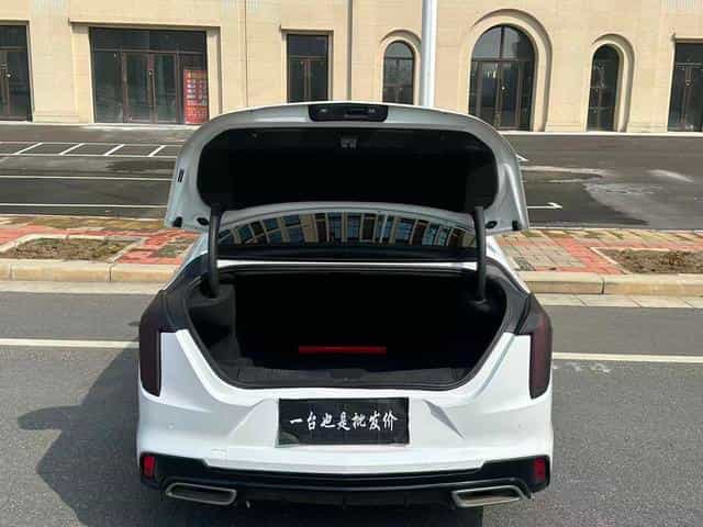 undefined undefined 2021-photo-15