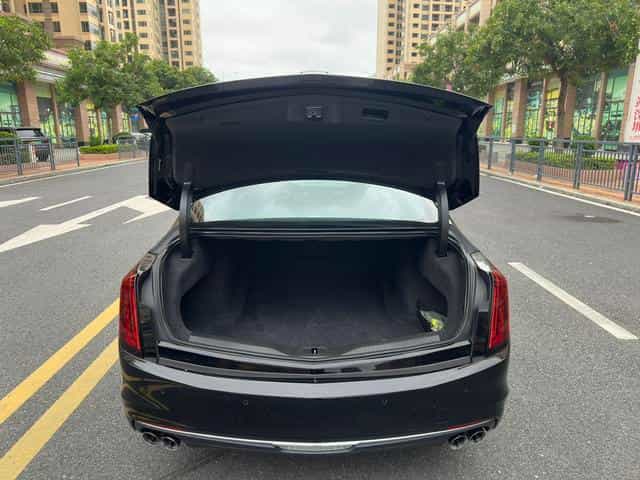 undefined undefined 2019-photo-28