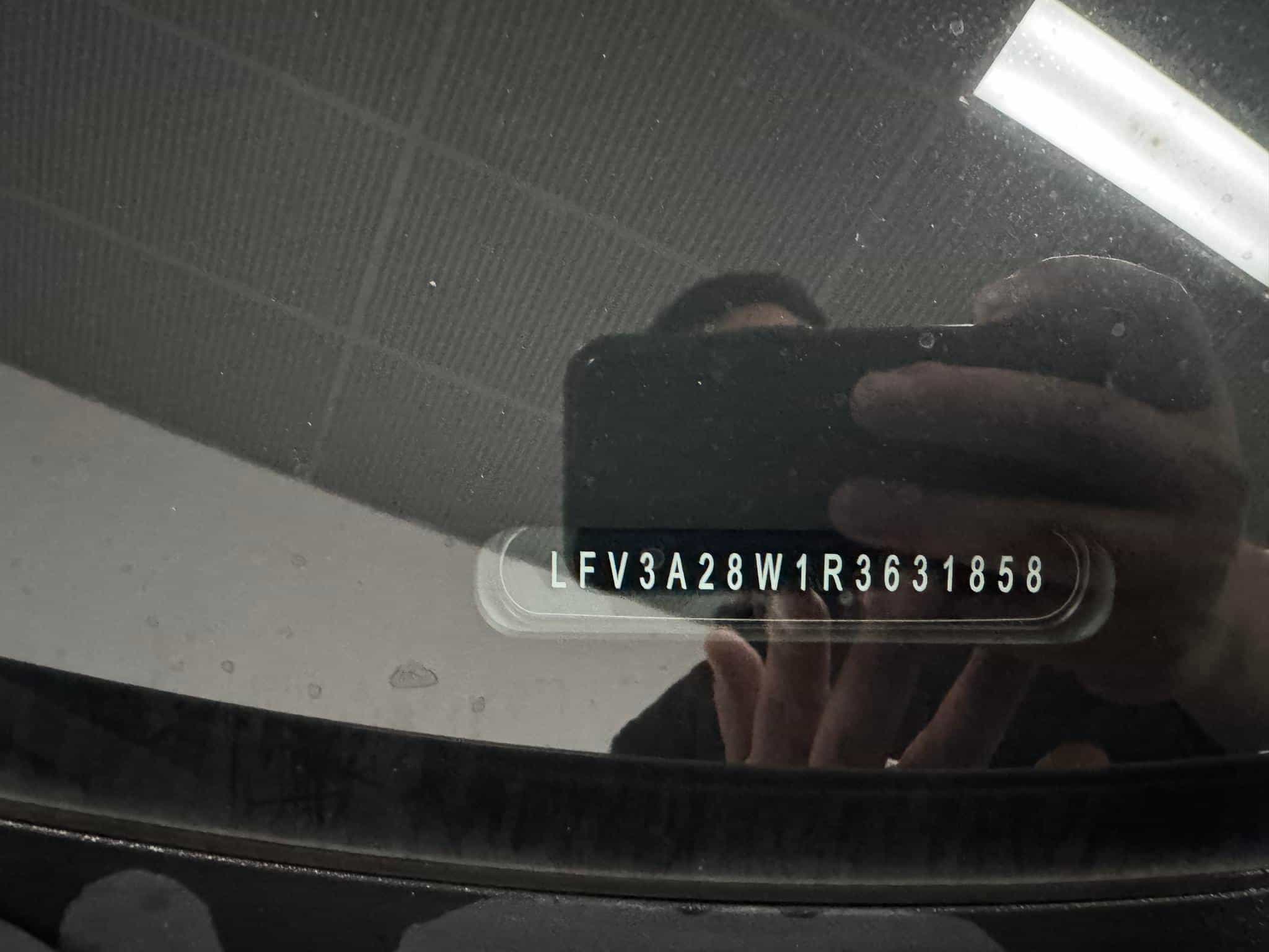 undefined undefined 2024-photo-11