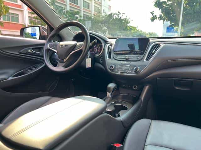 undefined undefined 2019-photo-11
