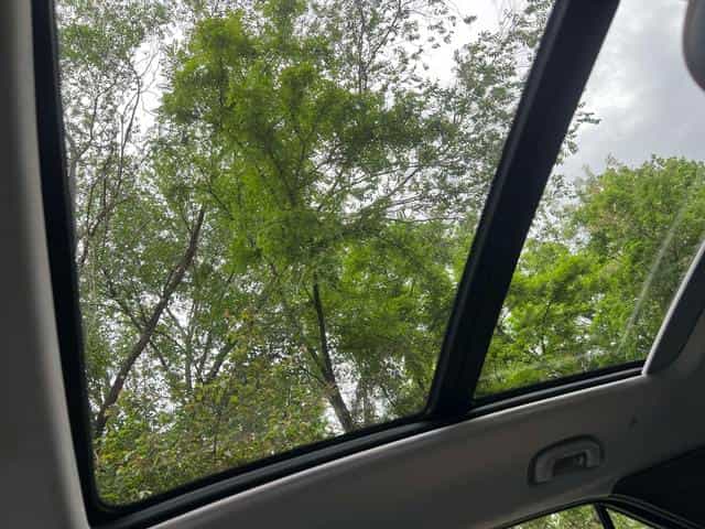 undefined undefined 2019-photo-16