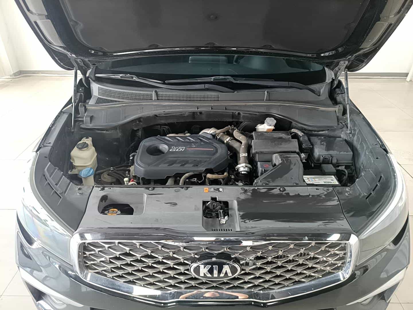 undefined undefined 2017-photo-17