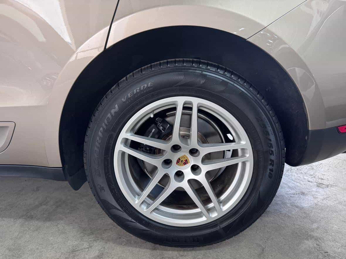 undefined undefined 2017-photo-20