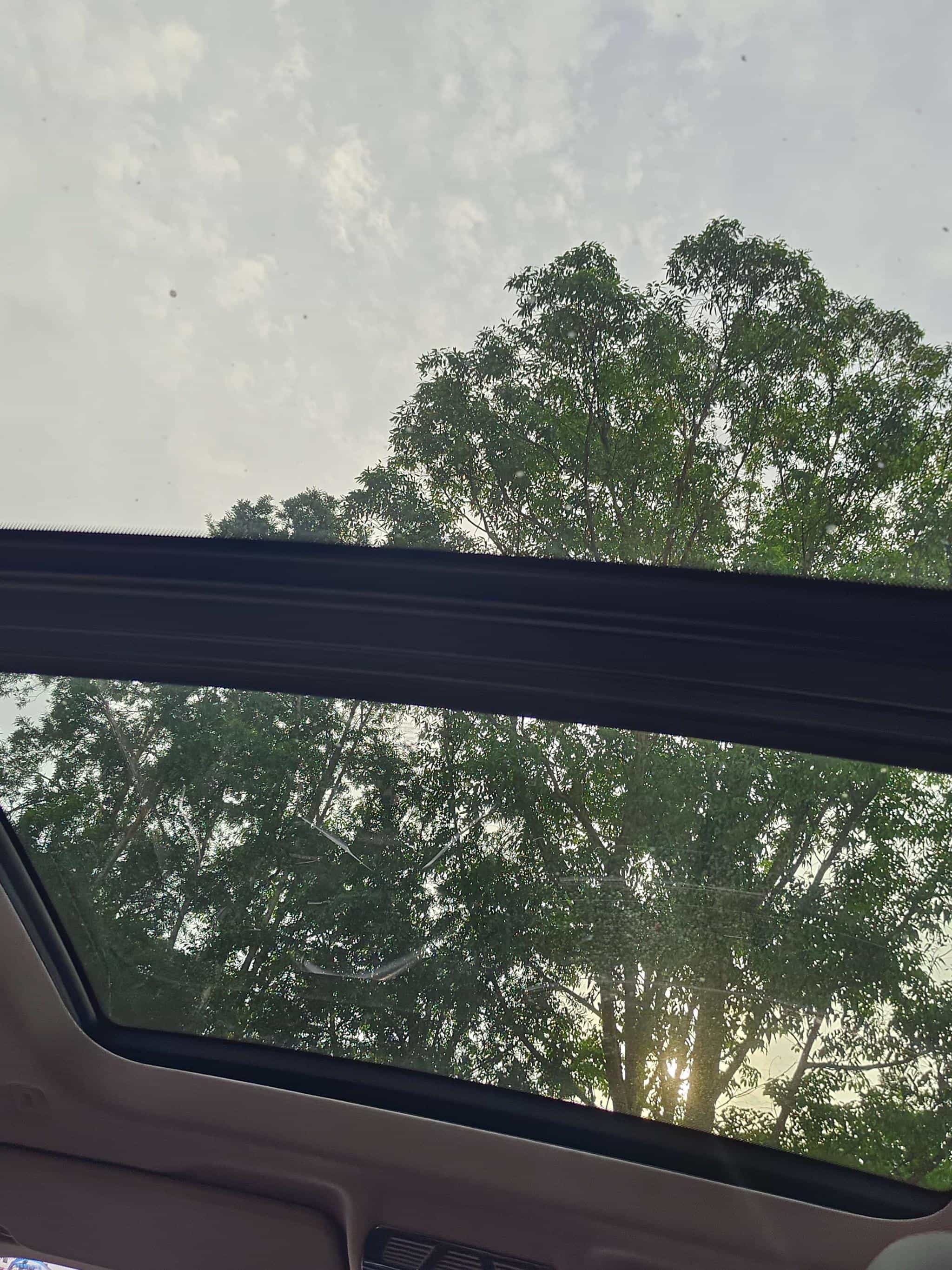 undefined undefined 2019-photo-11