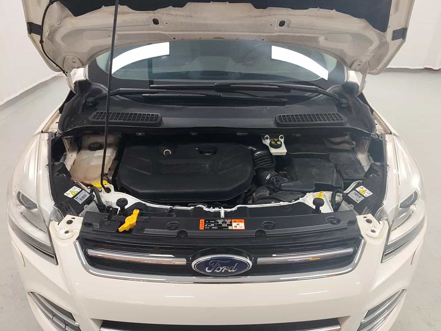 undefined undefined 2015-photo-17