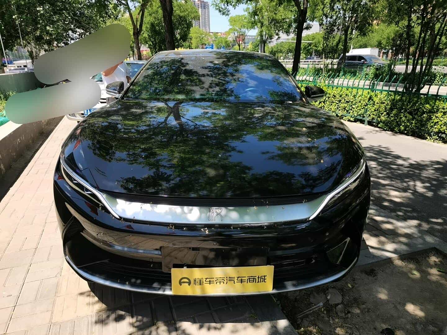 undefined undefined 2020-photo-2