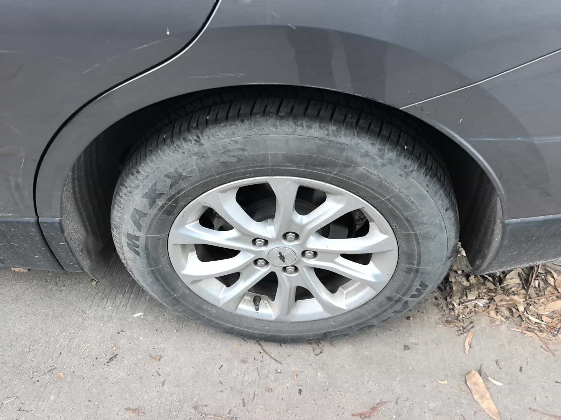 undefined undefined 2019-photo-20