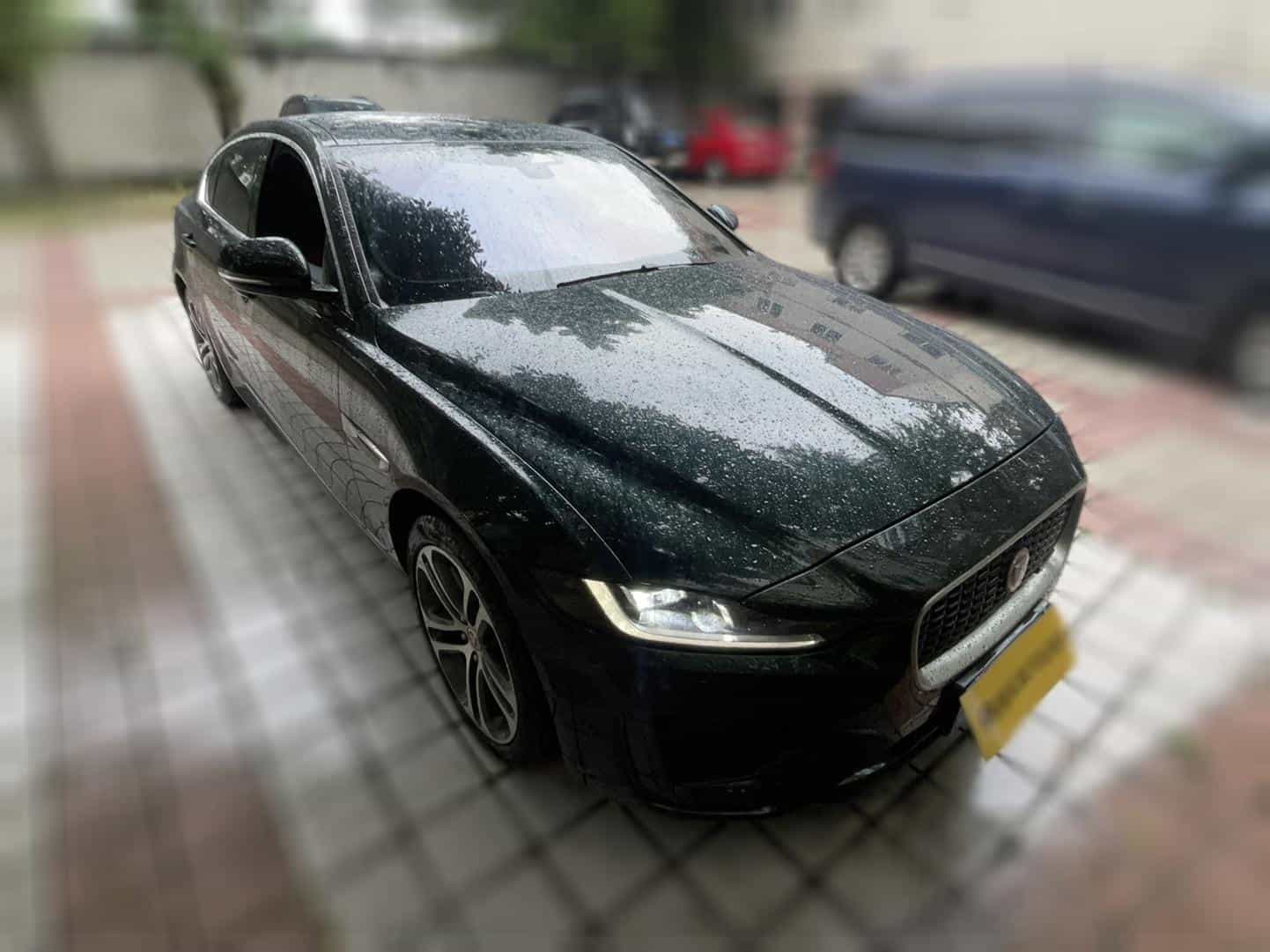 undefined undefined 2023-photo-3