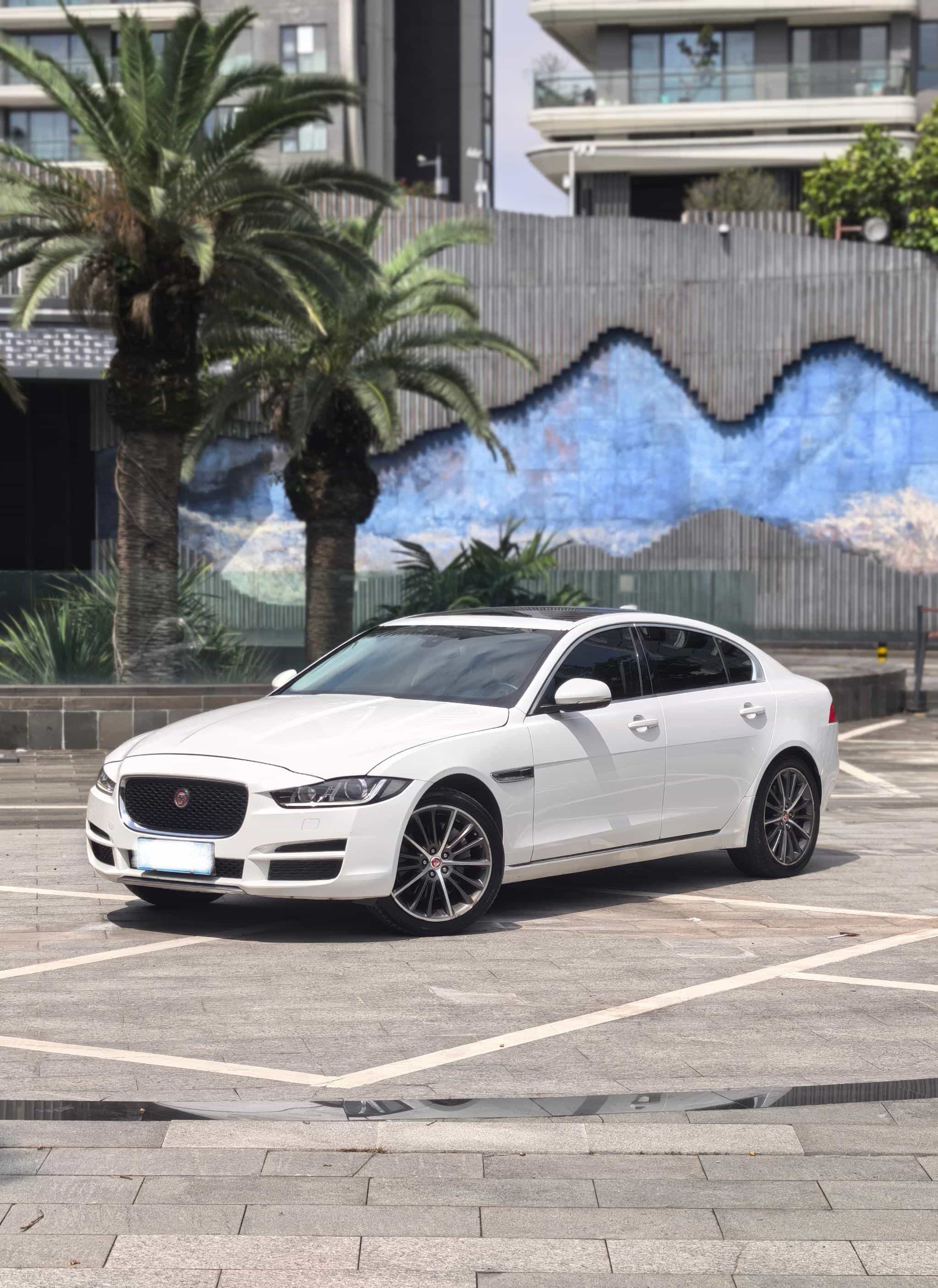undefined undefined 2019-photo-1