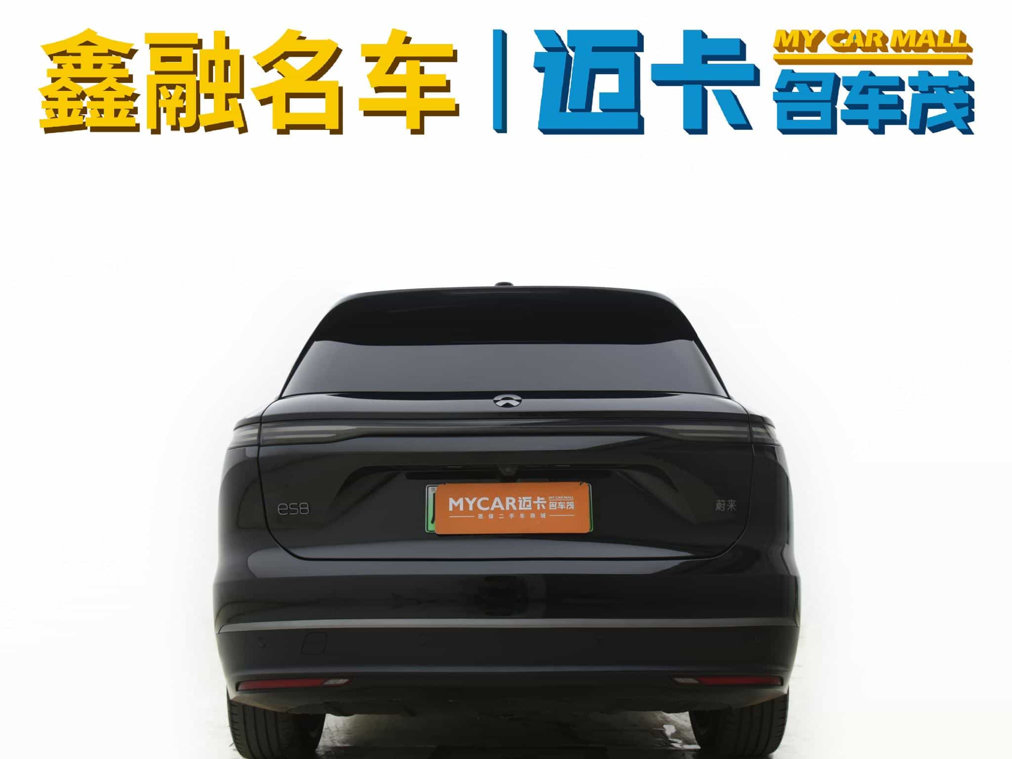 undefined undefined 2024-photo-12