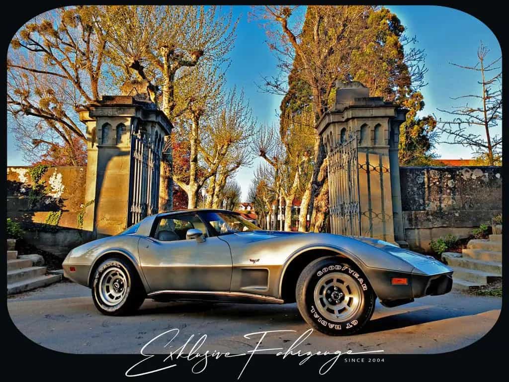 Corvette C3 |78´ Corvette Anniversary Silver Edition|220PS 02/1979-photo-1