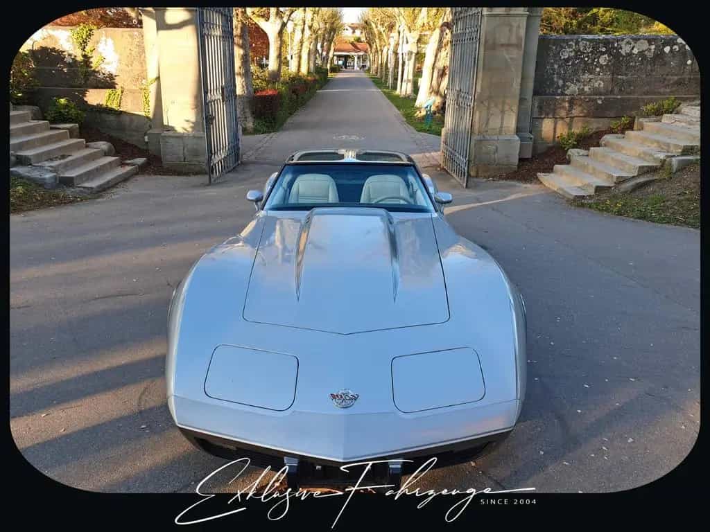 Corvette C3 |78´ Corvette Anniversary Silver Edition|220PS 02/1979-photo-10