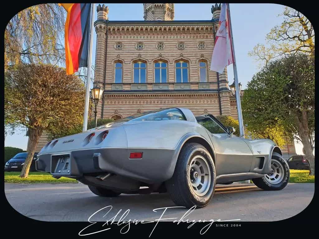 Corvette C3 |78´ Corvette Anniversary Silver Edition|220PS 02/1979-photo-11