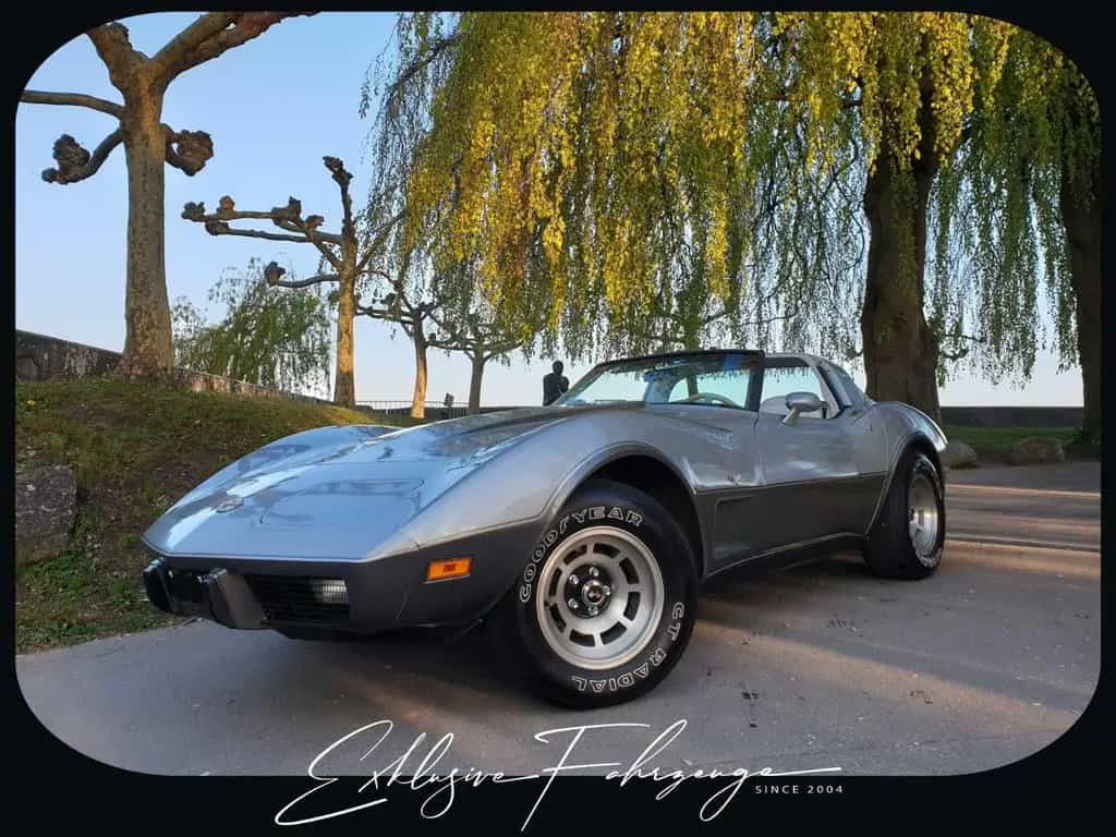 Corvette C3 |78´ Corvette Anniversary Silver Edition|220PS 02/1979-photo-12