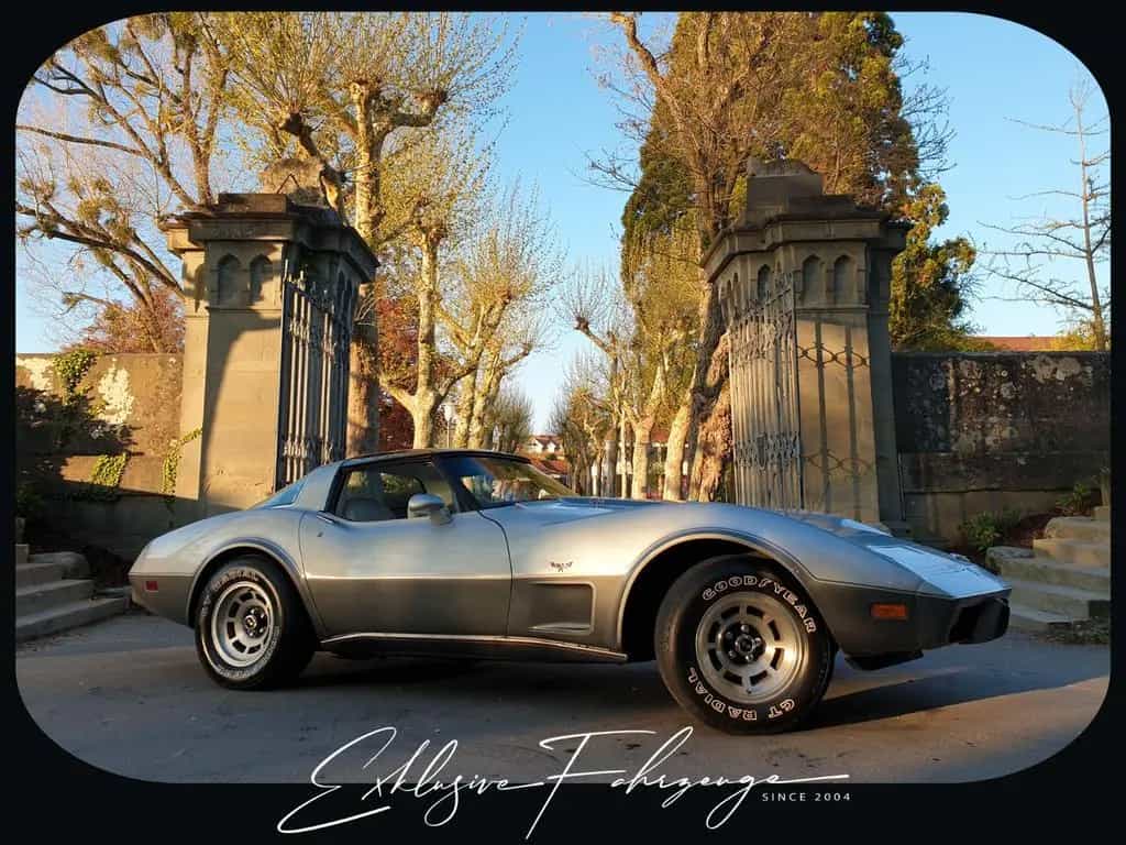 Corvette C3 |78´ Corvette Anniversary Silver Edition|220PS 02/1979-photo-13