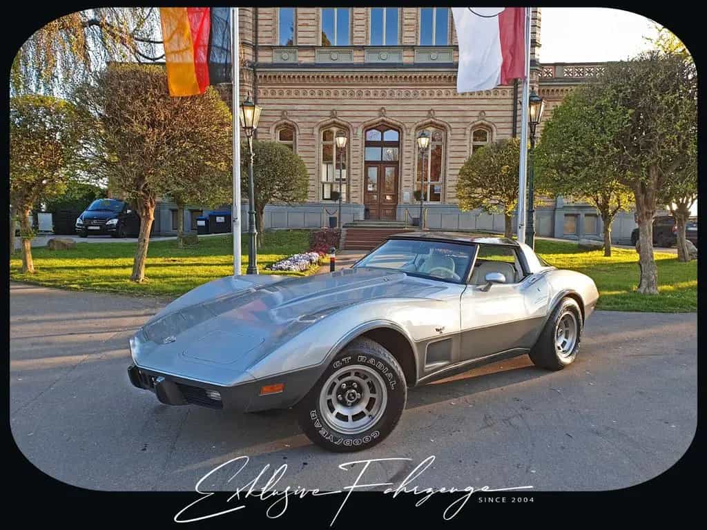 Corvette C3 |78´ Corvette Anniversary Silver Edition|220PS 02/1979-photo-14