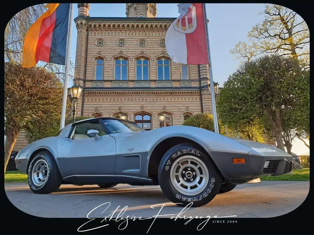 Corvette C3 |78´ Corvette Anniversary Silver Edition|220PS 02/1979-photo-17