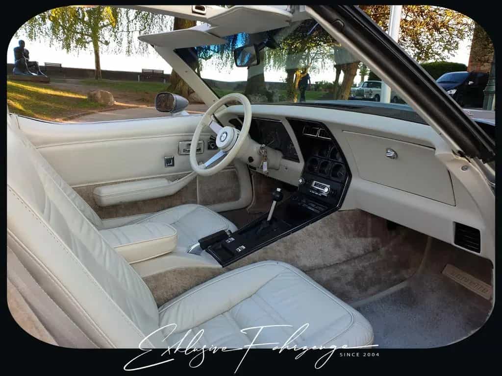 Corvette C3 |78´ Corvette Anniversary Silver Edition|220PS 02/1979-photo-20