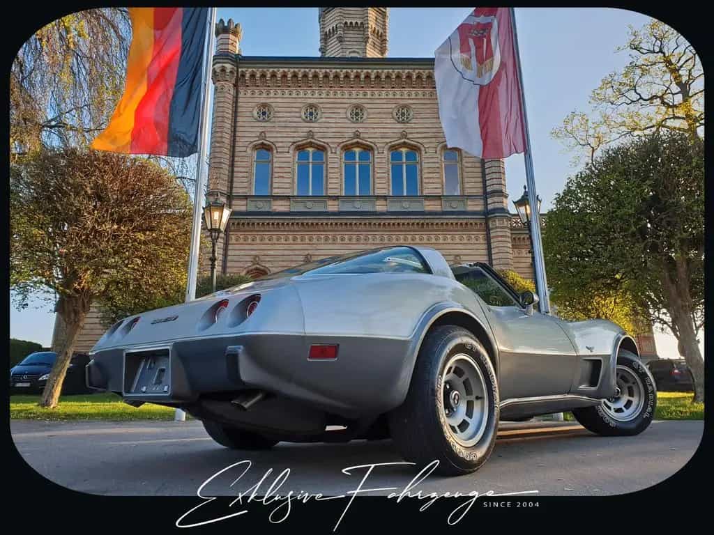 Corvette C3 |78´ Corvette Anniversary Silver Edition|220PS 02/1979-photo-22