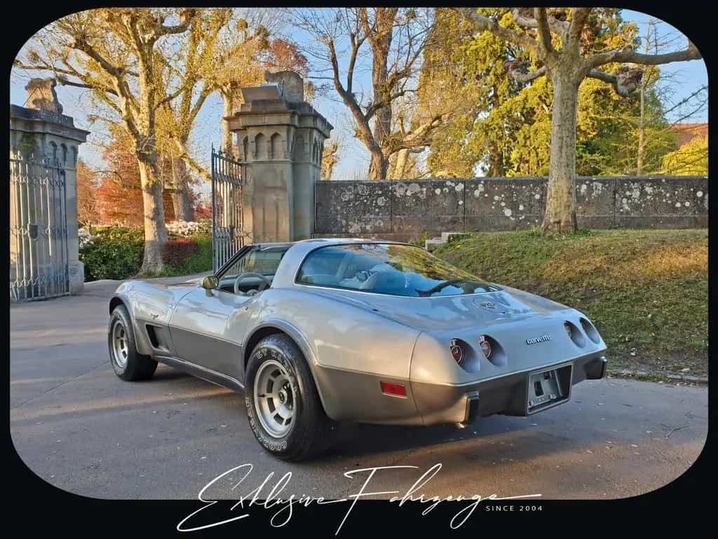 Corvette C3 |78´ Corvette Anniversary Silver Edition|220PS 02/1979-photo-23