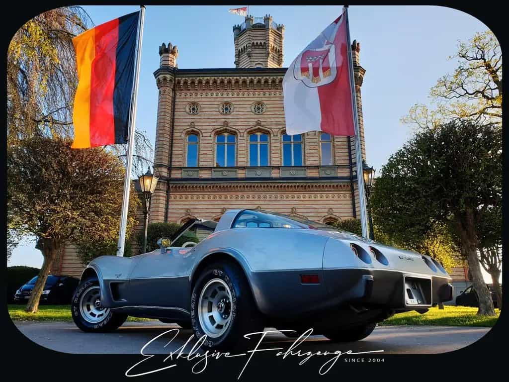 Corvette C3 |78´ Corvette Anniversary Silver Edition|220PS 02/1979-photo-3