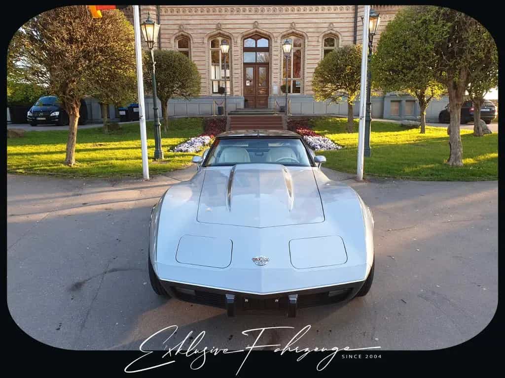 Corvette C3 |78´ Corvette Anniversary Silver Edition|220PS 02/1979-photo-4