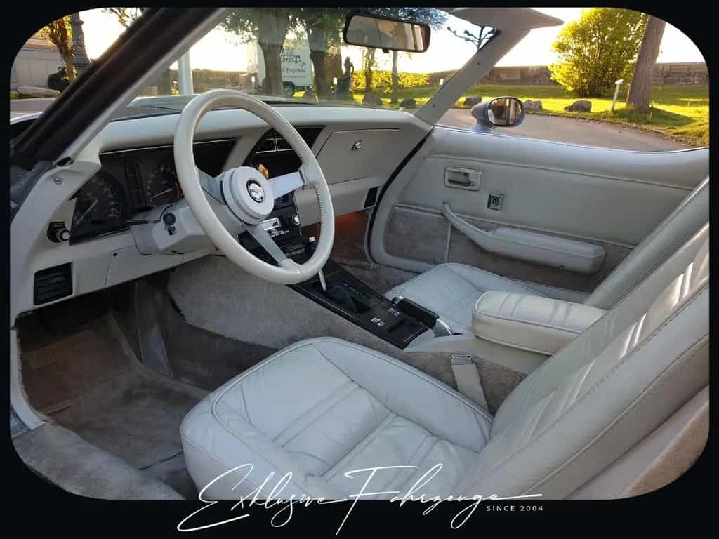 Corvette C3 |78´ Corvette Anniversary Silver Edition|220PS 02/1979-photo-7