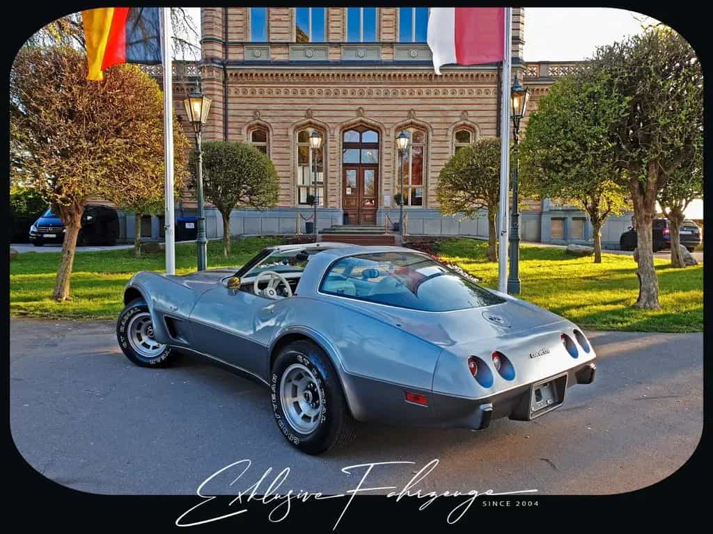 Corvette C3 |78´ Corvette Anniversary Silver Edition|220PS 02/1979-photo-9