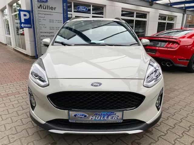 Ford Fiesta 1.0EcoB.''ACTIVE''LED-SW,Winterpaket,PDC 04/2020-photo-1